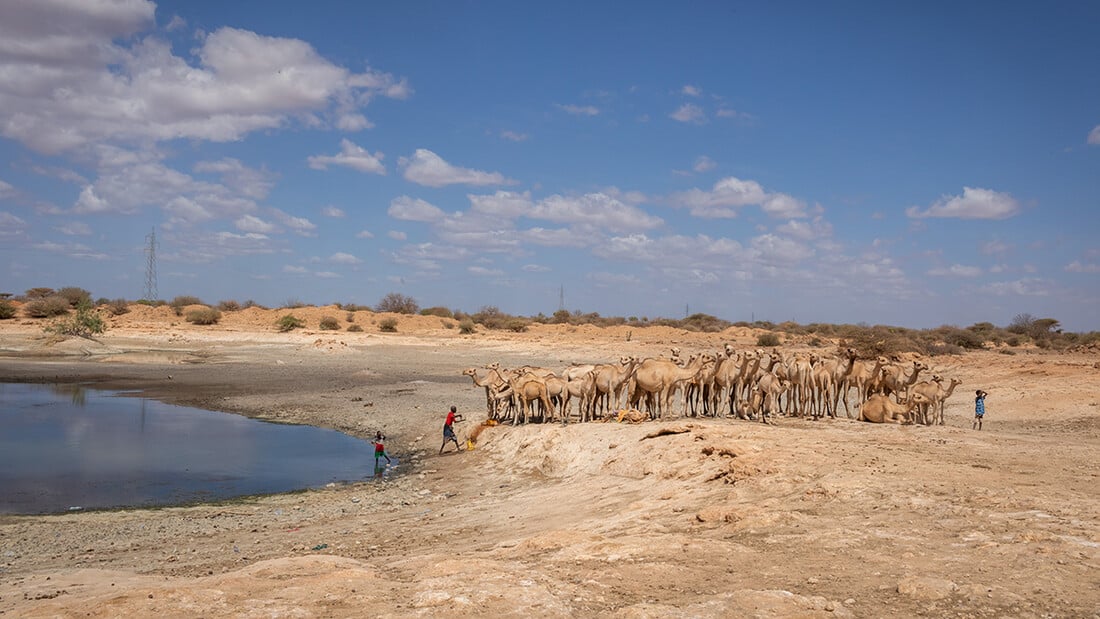 Wasserstelle in Äthiopien.